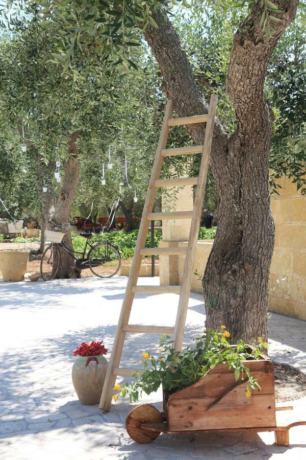 Il Giardino Degli Aromi Bed & Breakfast *